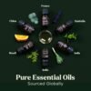 Essential Oils Set - Top 6 Blends for Diffusers, Home Care, Candle Making Scents, Fragrance, Aromatherapy, Humidifiers, Gifts - Peppermint, Tea Tree, Lavender, Eucalyptus, Lemongrass, Orange (10mL) - Image 3