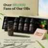 Essential Oils Set - Top 6 Blends for Diffusers, Home Care, Candle Making Scents, Fragrance, Aromatherapy, Humidifiers, Gifts - Peppermint, Tea Tree, Lavender, Eucalyptus, Lemongrass, Orange (10mL) - Image 6