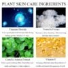 Air Cushion CC Cream Mushroom Head Foundation, Moisturizing BB Cream Makeup Long Lasting Matte Concealer (Natural) - Image 3