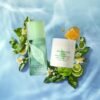 Elizabeth Arden Green Tea Scent Spray Eau de Toilette, Women's Perfume with Notes of Bergamot, Tea and Oakmoss, Fresh & Floral - Image 8