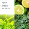 Elizabeth Arden Green Tea Scent Spray Eau de Toilette, Women's Perfume with Notes of Bergamot, Tea and Oakmoss, Fresh & Floral - Image 2